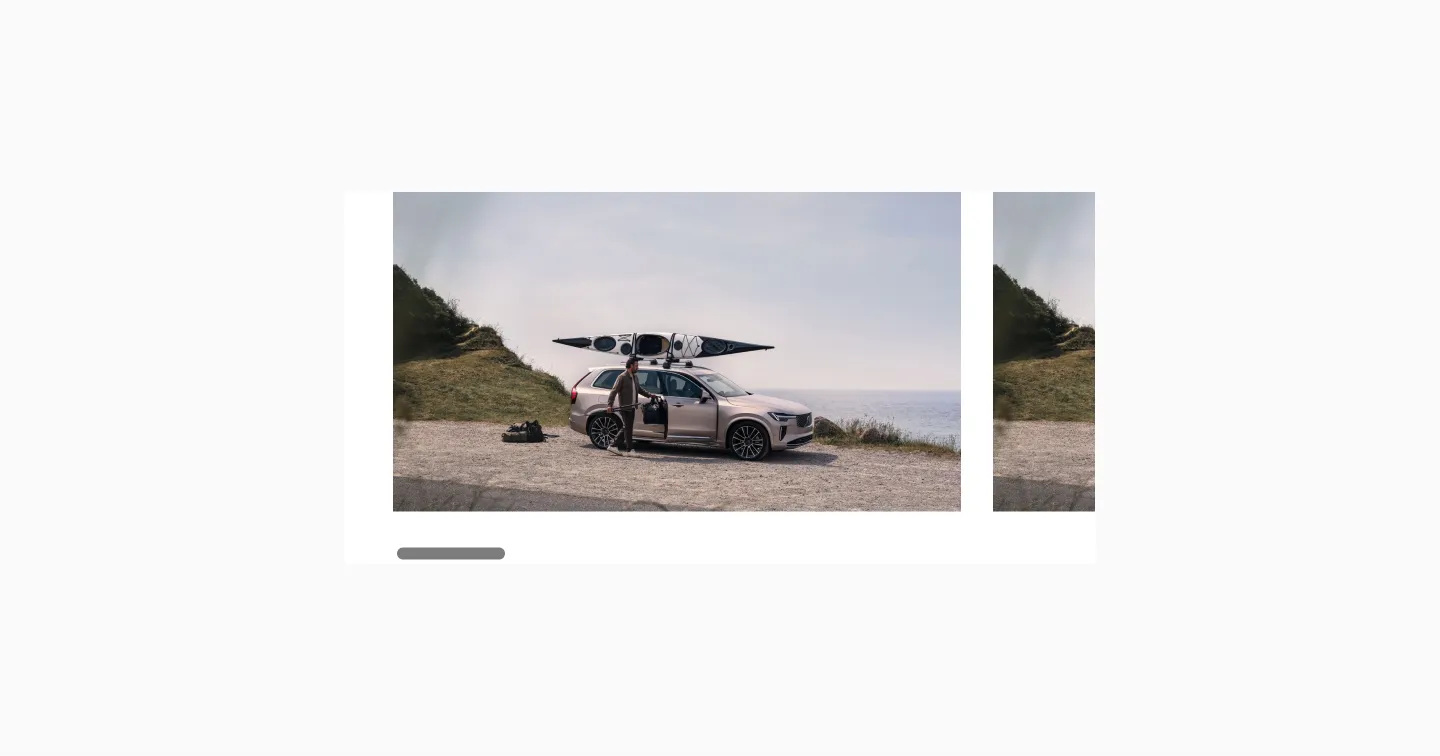 Reel with native scrollbar visible beneath content